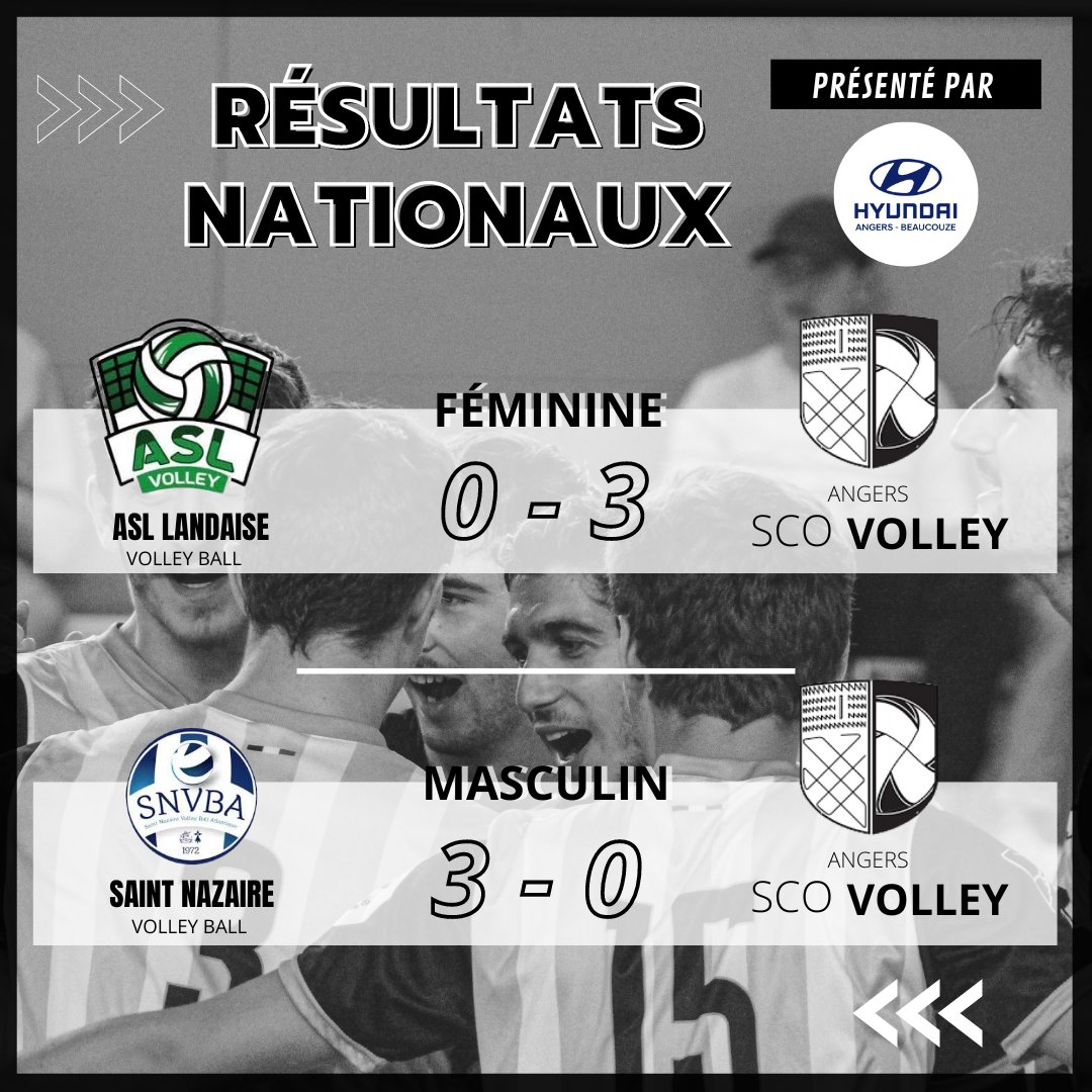 scoangersvolley tweet media