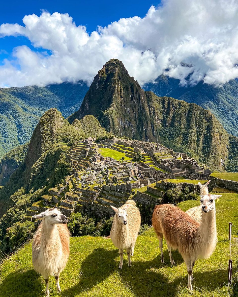 ¡#OrgulloPeruano! 😍
El diario británico <a href="/Telegraph/">The Telegraph</a> incluyó al Perú en la lista de los 10 países más bonitos de todo el mundo por su gran biodiversidad, la belleza de sus paisajes y el encanto de nuestra maravilla mundial, #Machupicchu. 🇵🇪🇵🇪

📸: martafacruz 

#MarcaPerú
