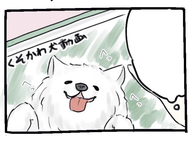 今日の日記 