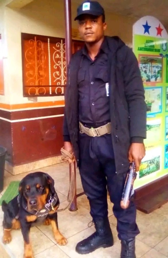 AlcefP's tweet photo. ALCEF Park, staff roll-call. 
📢 Night Guard N° 2: Louis!!
📢 Head of K9 Brigade: Ruby(🦮🐕😅)!!!

ALCEF RIVIERA AMUSEMENT PARK 
Mile Four, Limbe - Cameroon.
☎️: 672-311-360 ☎️:690-030-347 https://t.co/CrrBt6M1yC