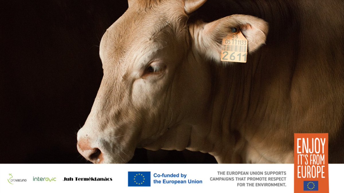 Si San Francisco de Asís levantara la cabeza…
👉🏼 Iría siempre por delante de la legislación vigente respecto al bienestar animal.

Este es uno de los 5 requisitos fundamentales en el compromiso #BienestarAnimalEuropeo. 💚🇪🇺

04.10. #DíaMundialDeLosAnimales (y de su bienestar).