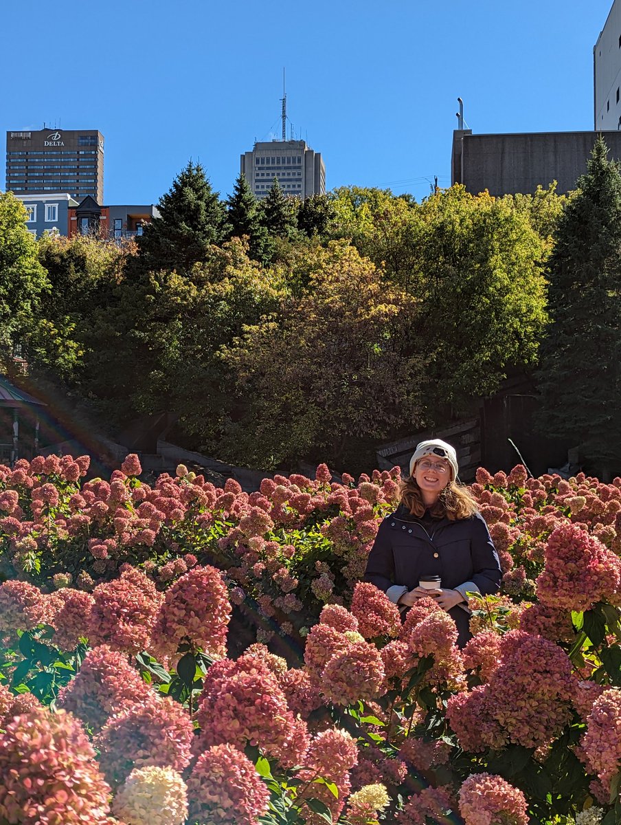 Katherine Elliott tweet media