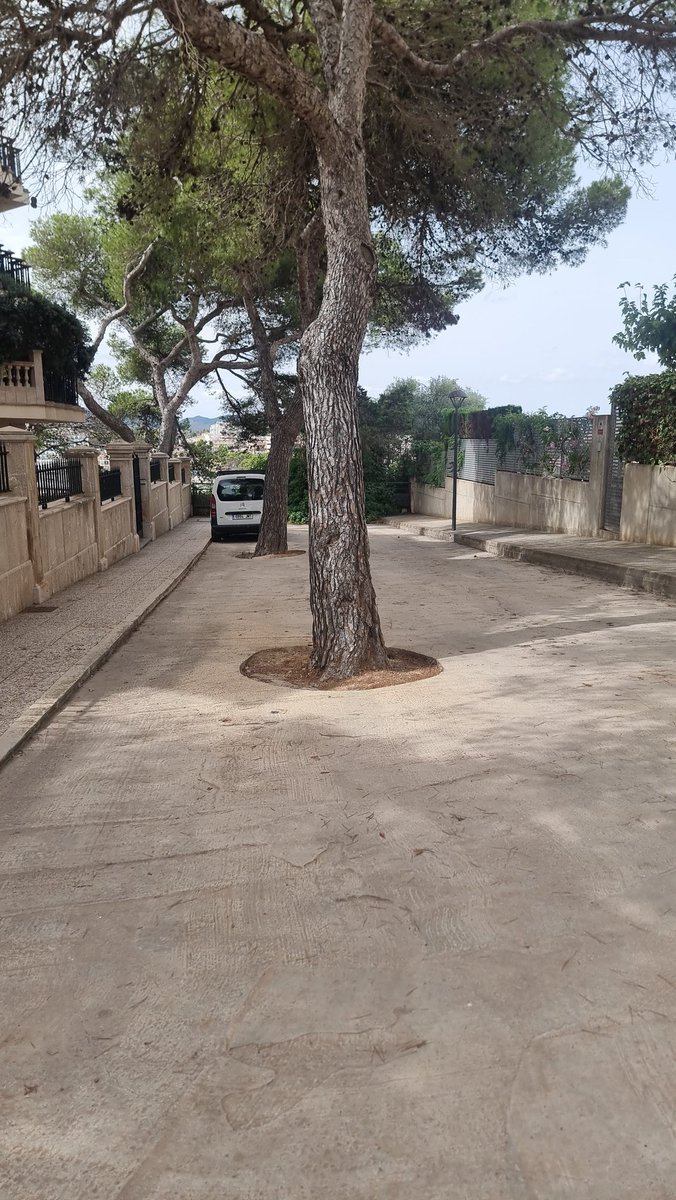 Schusterkind's tweet photo. Straße. https://t.co/8byM13czkA
