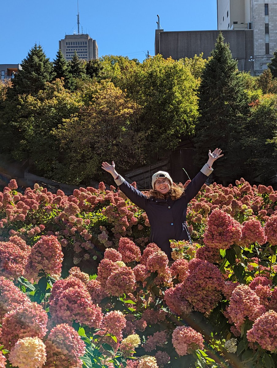 Katherine Elliott tweet media