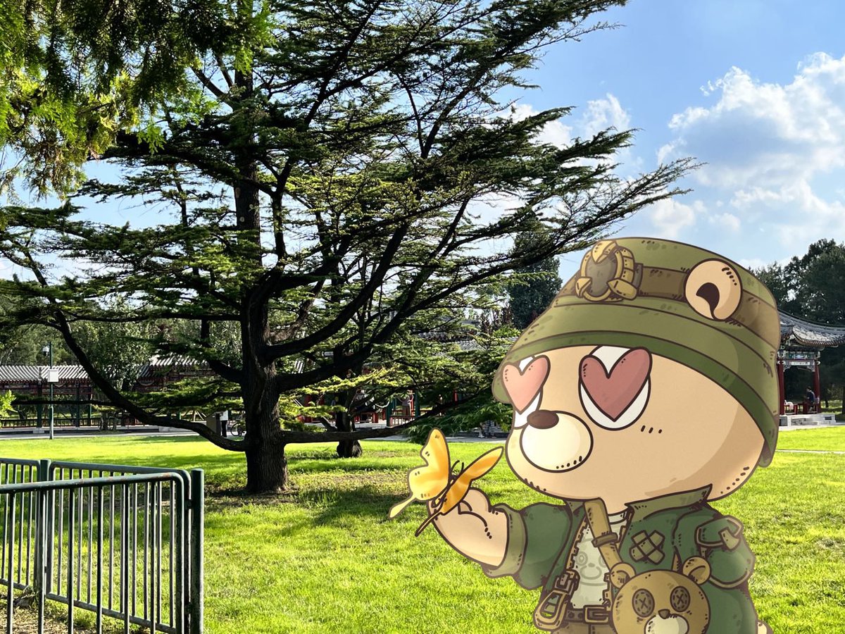 DuDu Lab tweet media