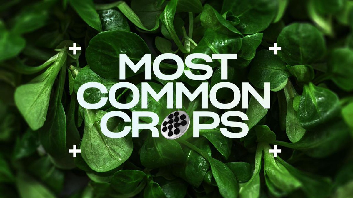 Polaron_ag's tweet photo. Herbs are another popular choice for vertical farmers, due to many of the same reasons as salad crops.

Common vertical farm herbs include:
🍀Basil
🍀Mint
🍀Chives
🍀Parsley https://t.co/CZR3lmcpeD