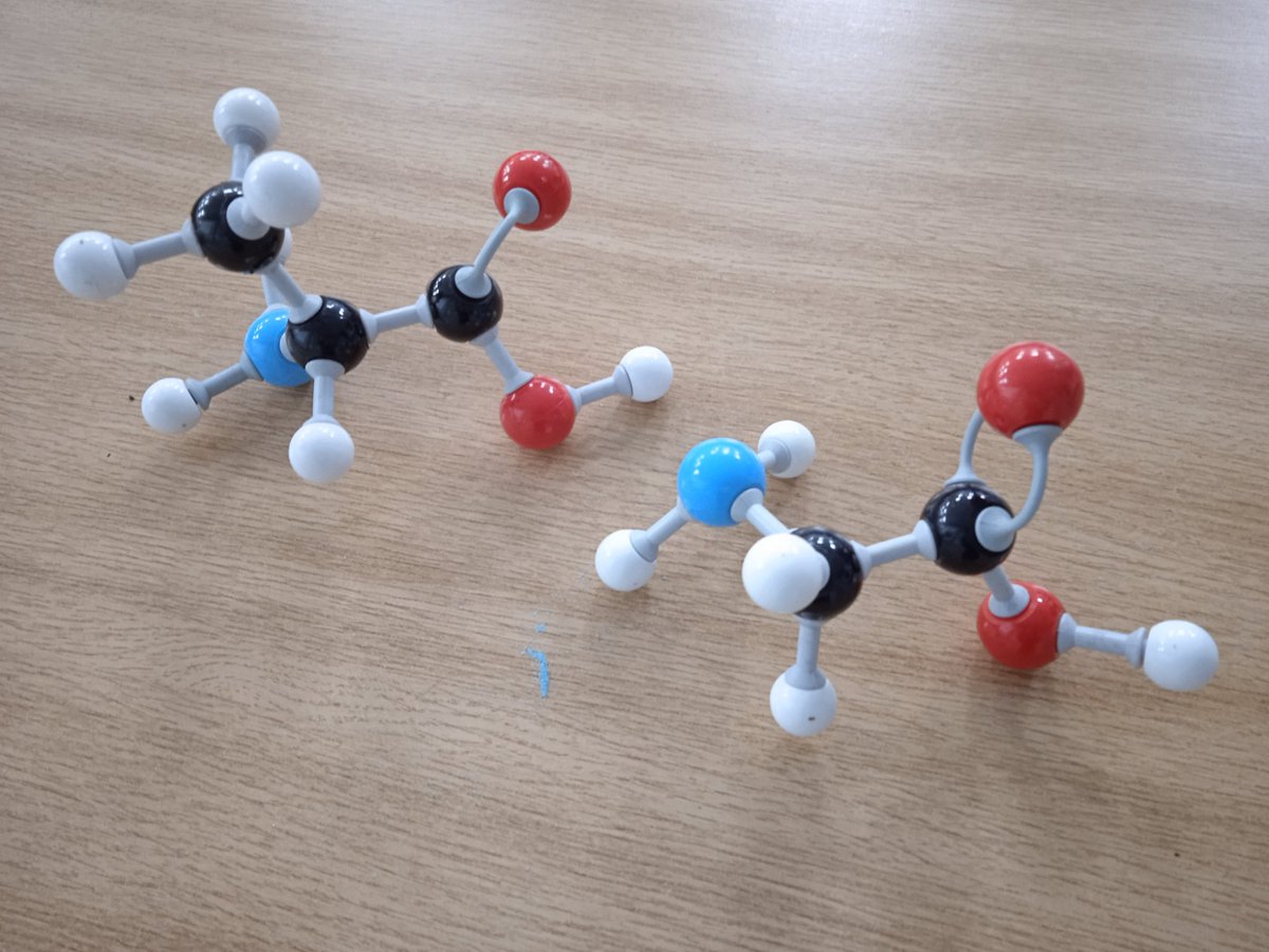 BCSciDept's tweet photo. Learning about the structure of amino acids and changing the R-groups with the help of molymods! #RGroups ⚛️ #ChatBiology @BCCbio @BishopChalloner https://t.co/TjyxUtrt1E