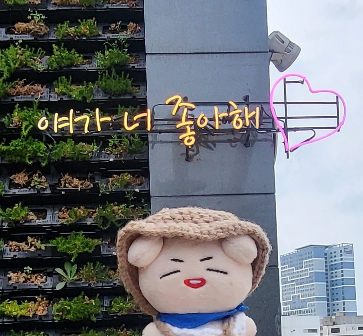 1li1li___'s tweet photo. #우리집_루강지를_봐_대박임
애기 데리구 놀러와서 찰칵 https://t.co/tC2f8GWnRA