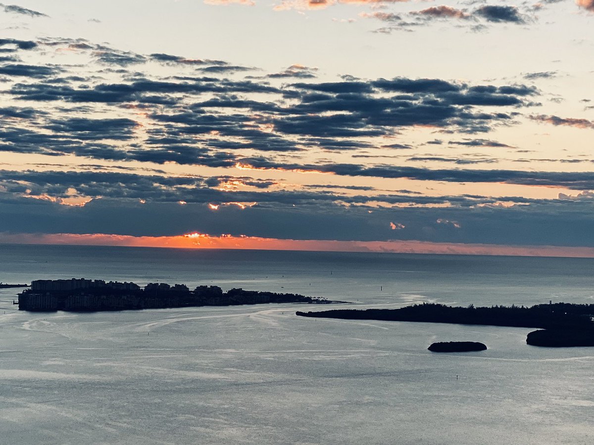 Sangeetha Venugopal MD,MS tweet media