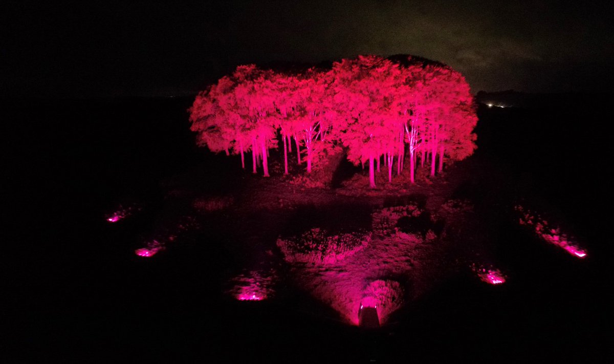 HitsCornwall's tweet photo. Big thanks to Si @IrrelevantMonky for sharing some stunning pictures of the Nearly Home Trees which were illuminated on Friday night to wrap up Organ Donation Week @NHSOrganDonor https://t.co/XdKET8RHln