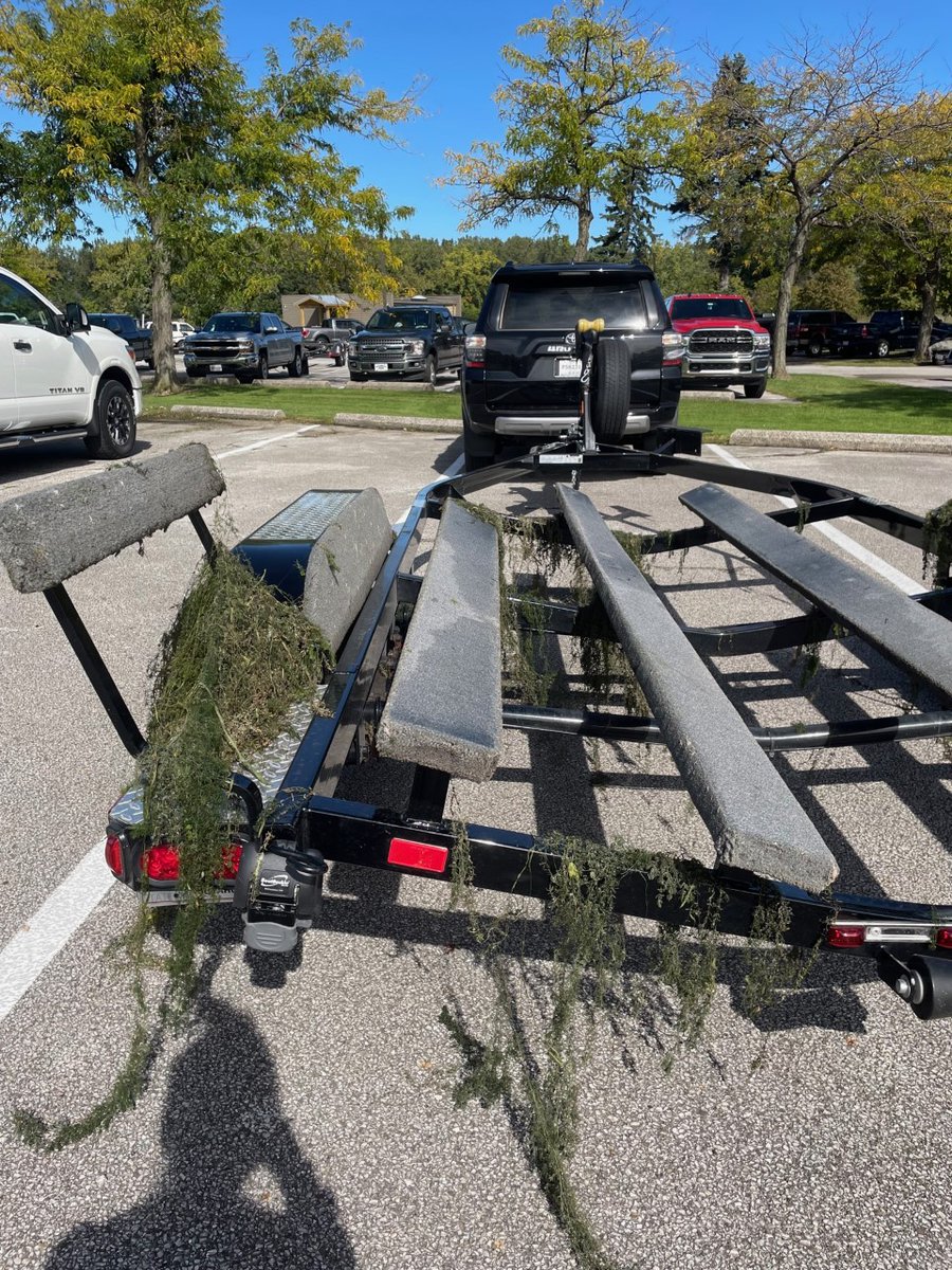 Fishing tourney cheating is all over the news. 

Another outrageous observation from the walleye tournament in Cleveland this weekend was the amount aquatic plants on trailers! 

#CleanDrainDry #OH #AquaticInvasiveSpecies #MacrophyteMonday
 cleveland.com/outdoors/2022/…