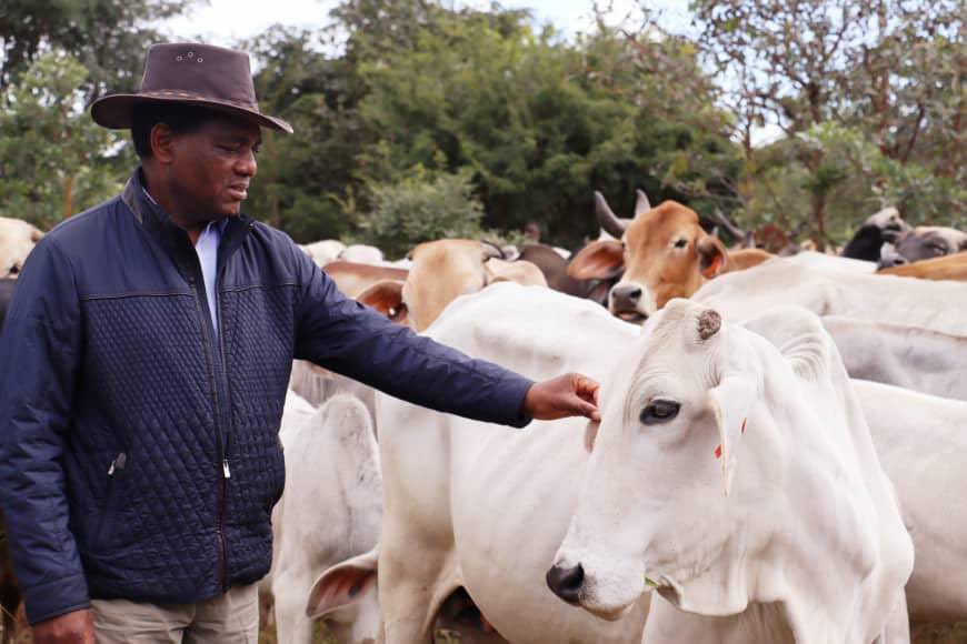 Biggest challenge in livestock sub sector has been disease control &amp; lack of vaccines. The #Budget2023 has allocated K274 million to buy vaccines &amp; build a plant at Balmoral Lab in Lusaka to produce our own vaccines and address the problem of vaccine availability &amp; affordability.