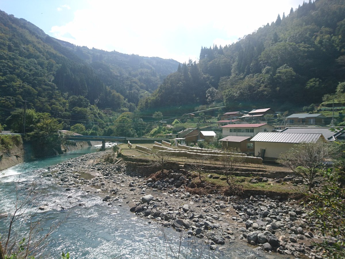 MorotsuKanko's tweet photo. 稲刈りがすすんでいます
#国道503号 #R503
#七ツ山 #井戸 #諸塚村
#稲刈り #掛け干し米
#諸塚村 #諸塚 #宮崎県諸塚村 #宮崎県 #日本 #諸塚村観光協会 #ひゅうが奥日向 #世界農業遺産 #giahs #morotsuka #morotsukavillage #miyazaki #countryside #japan https://t.co/S3sSkNdsqH