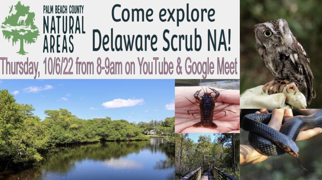 STEMagillPSMS's tweet photo. Who @pbcsd is ready for the 1st @pbcgov (ERM) vft?! This Thursday at 8am, Ss can join via GM (see your science teacher or message me for code) or YouTube. If Ss joint GM they will be a to ask scientists in the field Q’s. @PBCSDScience @evacwynar #explorewithERM **YouTube link ⬇️ https://t.co/bh7TxvWVq1