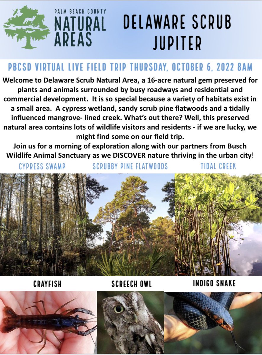 STEMagillPSMS's tweet photo. Who @pbcsd is ready for the 1st @pbcgov (ERM) vft?! This Thursday at 8am, Ss can join via GM (see your science teacher or message me for code) or YouTube. If Ss joint GM they will be a to ask scientists in the field Q’s. @PBCSDScience @evacwynar #explorewithERM **YouTube link ⬇️ https://t.co/bh7TxvWVq1