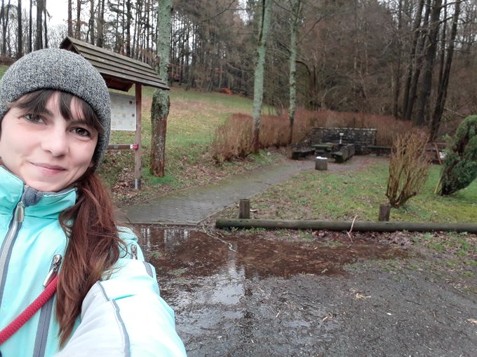 I love it to walk in our forests with my dog😍 #walkwithdog #dog #cold #autumn https://t.co/L3jbv9onJ<a href="/tag/walkwithdog"class="tags">#walkwithdog</a><a href="/tag/dog"class="tags"><span>#dog</span></a><a href="/tag/cold"class="tags"><span>#cold</span></a><a href="/tag/autumn"class="tags"><span>#autumn</span></a>