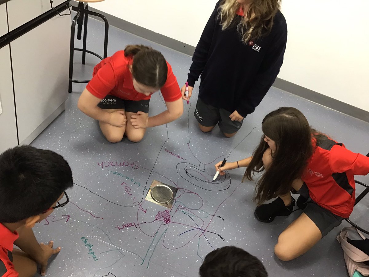 Our Year 7 <a href="/DubaiBritishJP/">DBS Jumeirah Park</a> labelling and locating their key organs. #proudlytaaleem #BeginsAtDBSJP #biology #science #spaciallearning