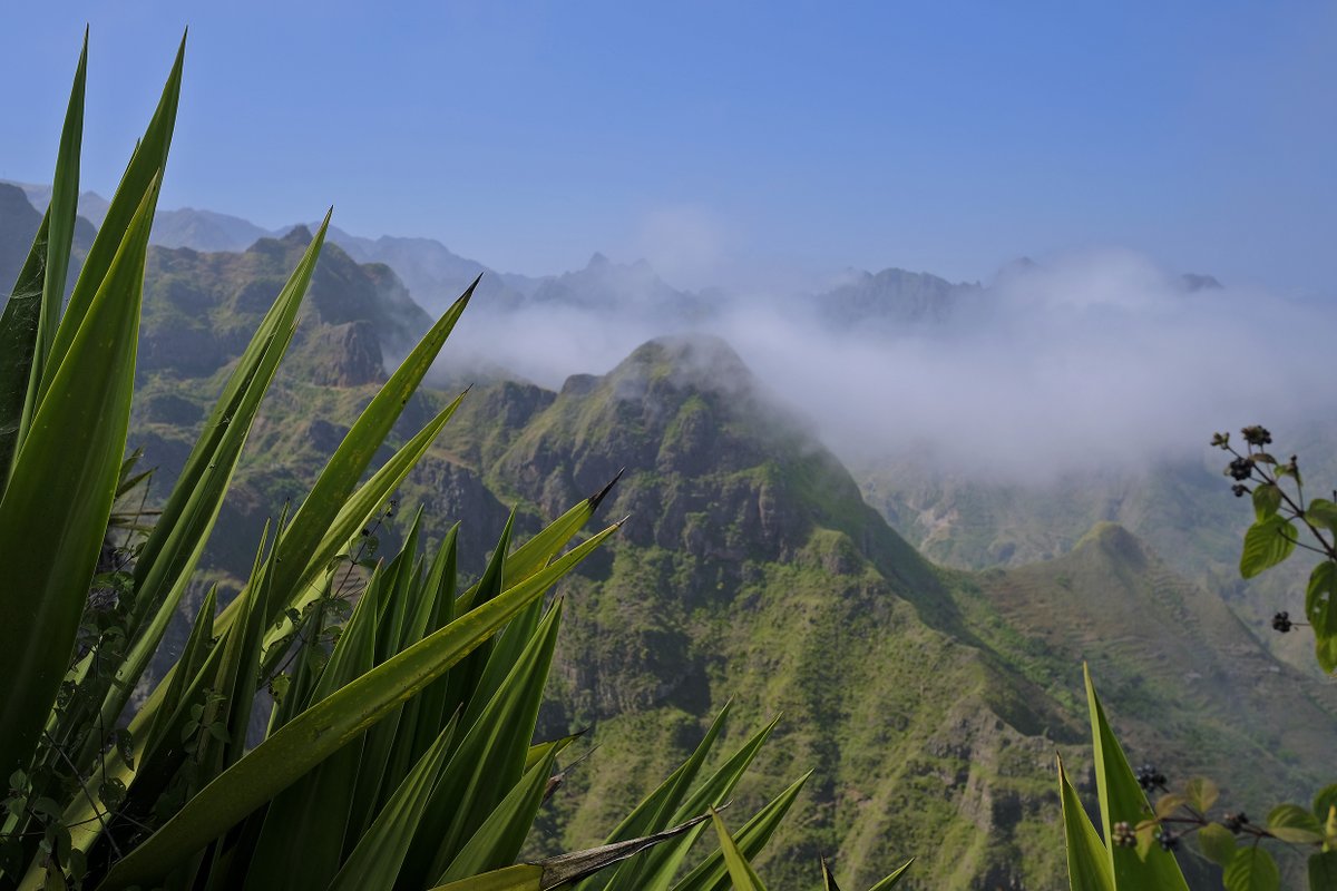 Have you seen Cape Verde's greener side? 👀 Emerald mountains, steaming volcanoes, vibrant cities and white sand beaches... discover the archipelago's many different faces on one of our island hopping tours. bit.ly/2JyYUI6