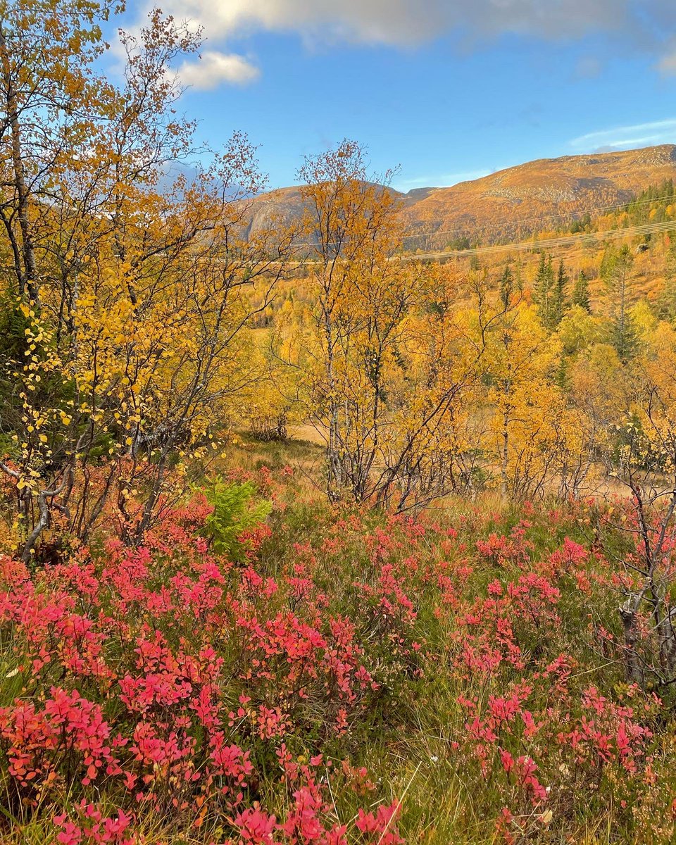 The best time of the year #huntingseason