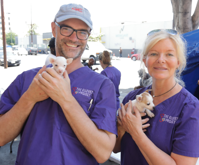 Tweet by American Animal Hospital Association