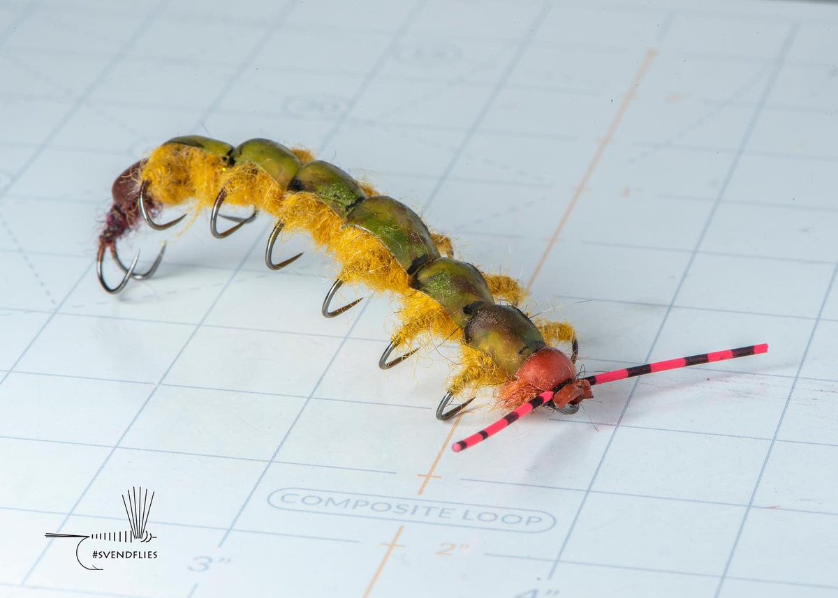 svenddiesel's tweet image. October will always be #spookystreamer s for me.  This one still gives me nightmares.  

#Flytying #svendflies #flyfishing #fullsvendit #ridiculousflies #macrophotgraphy