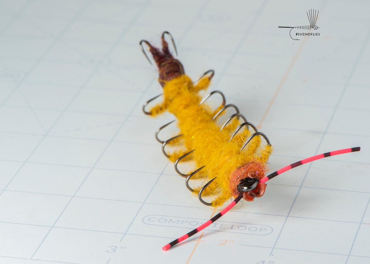 svenddiesel's tweet image. October will always be #spookystreamer s for me.  This one still gives me nightmares.  

#Flytying #svendflies #flyfishing #fullsvendit #ridiculousflies #macrophotgraphy