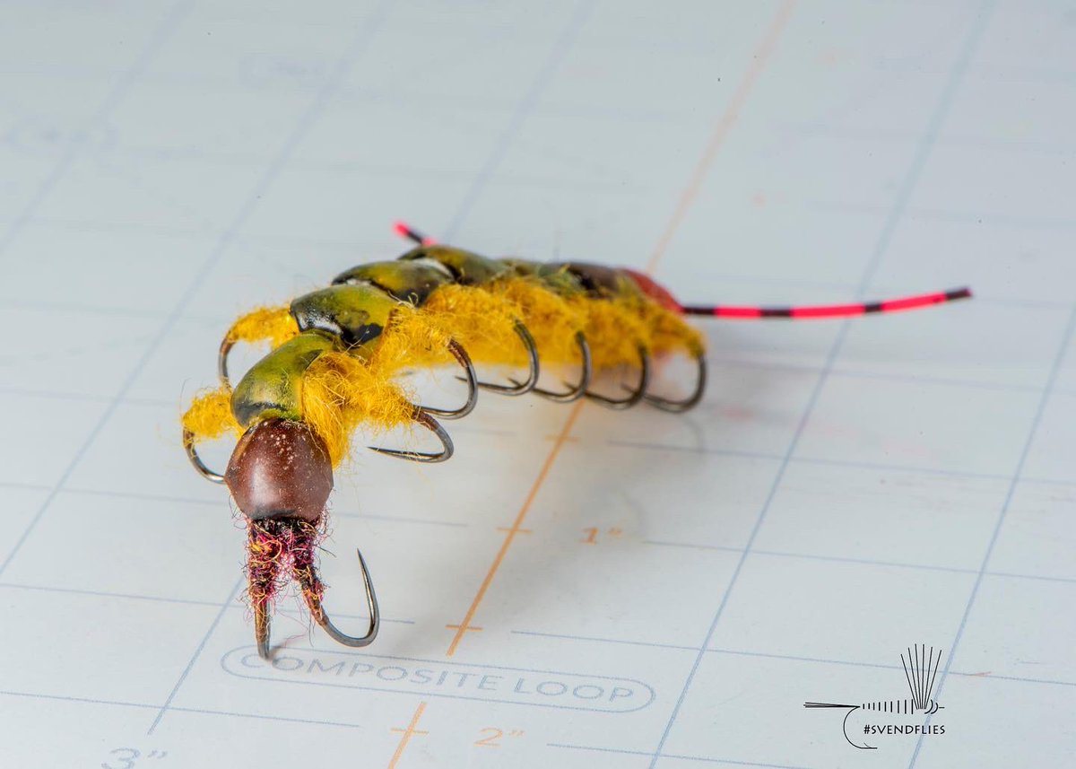 svenddiesel's tweet image. October will always be #spookystreamer s for me.  This one still gives me nightmares.  

#Flytying #svendflies #flyfishing #fullsvendit #ridiculousflies #macrophotgraphy