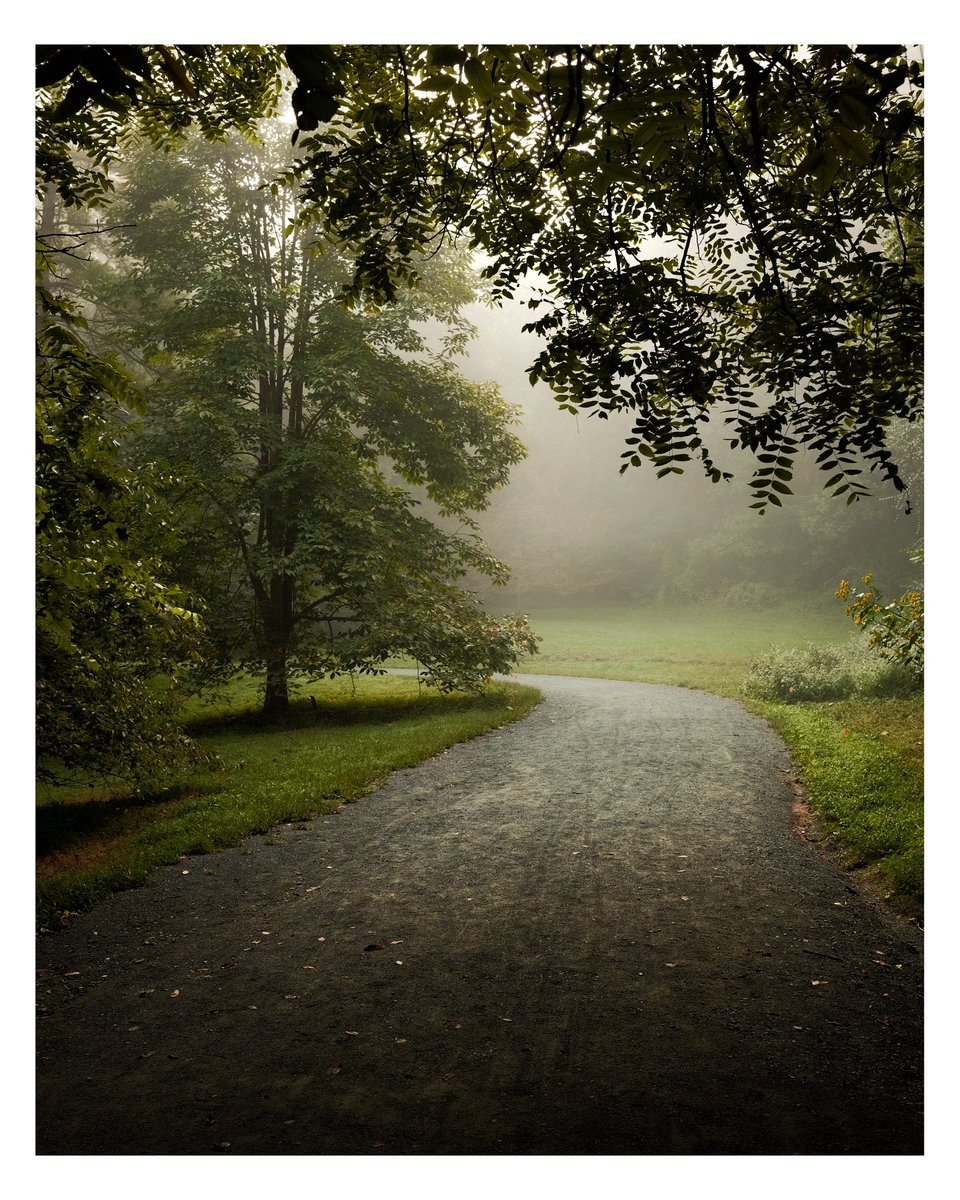 YCImaging's tweet photo. Morning walks (Summer 2022) - X100V • With age I’ve realized I ONLY really enjoy the transitional seasons, getting out before the sun is my remedy in the Summer. https://t.co/QOnVcp0WkJ