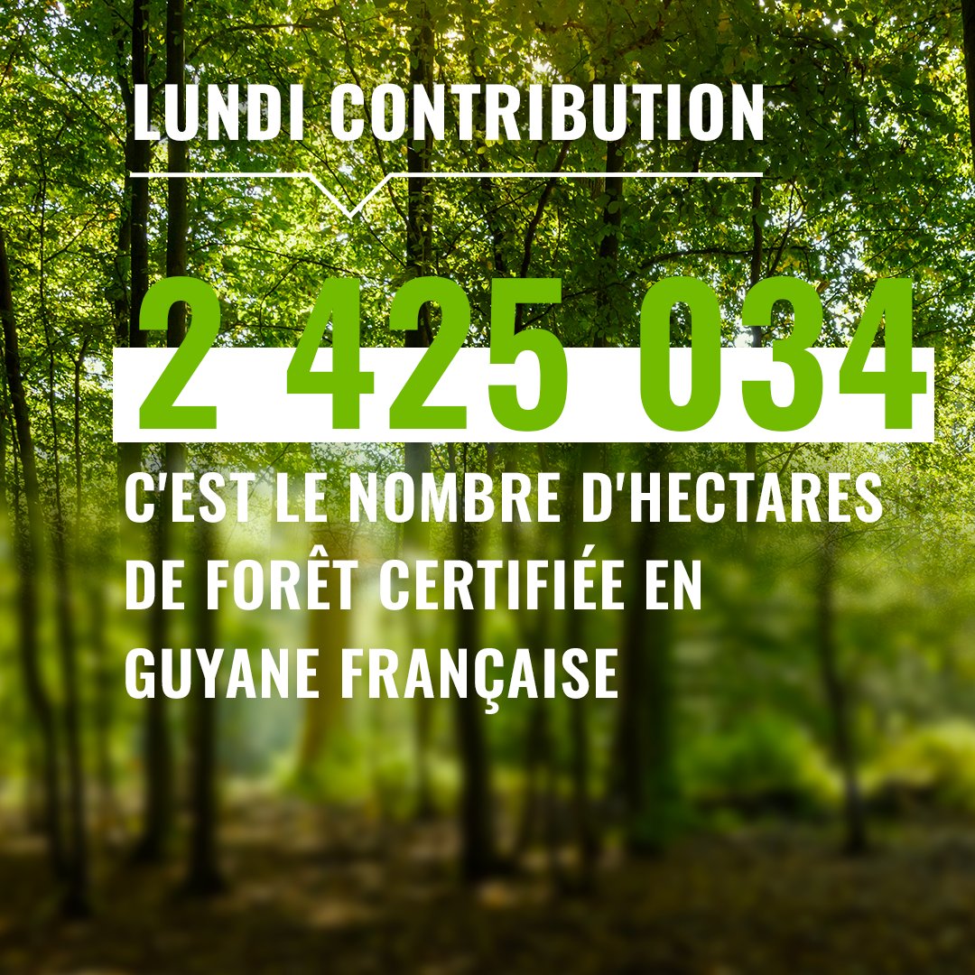 PEFCFrance's tweet photo. [#LundiContribution] Saviez-vous que la Guyane Française était la région disposant de la plus grande surface #forestière #certifiée avec 2 425 034 d'hectares. 🌳

Plus d'infos sur les chiffres clés #PEFC : https://t.co/5hbqxrCMhq https://t.co/8EFUPFAkWR