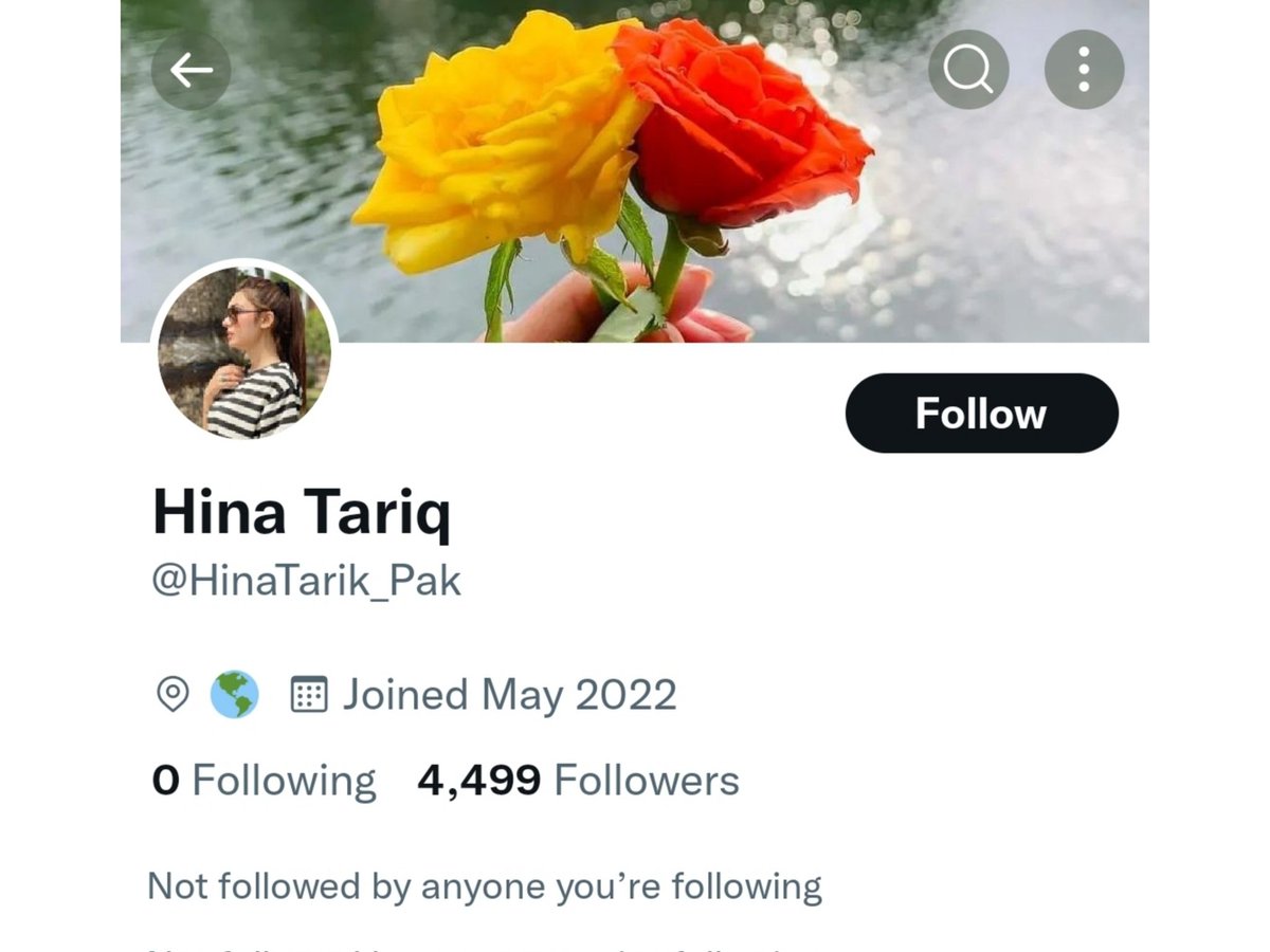 A thread on Twitter account @.HinaTarik_Pak who is pretending to be a Pakistani girl.