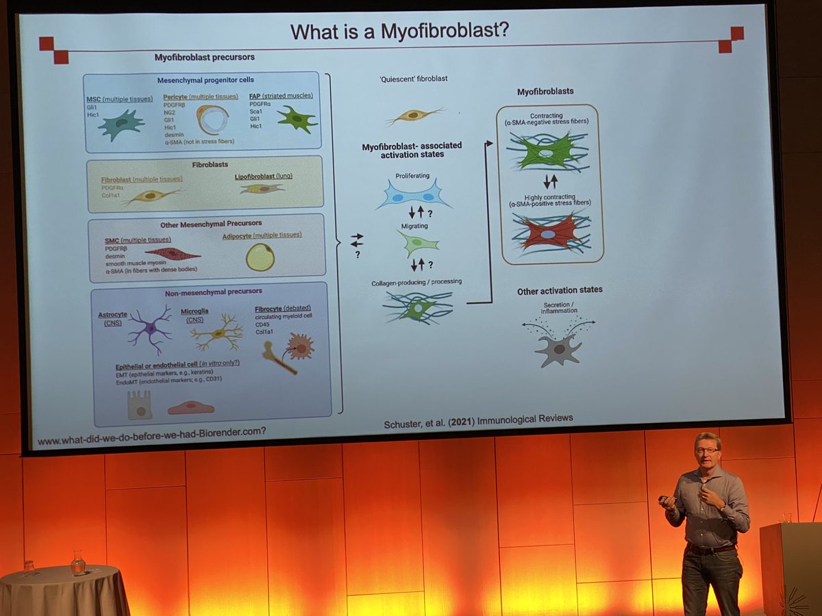 Laura Fabbri tweet media