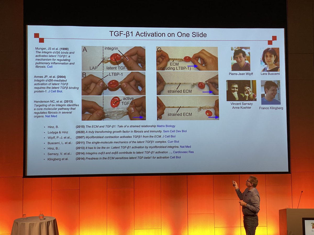 Laura Fabbri tweet media