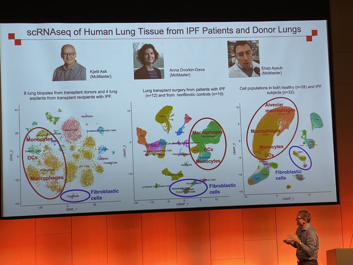 Laura Fabbri tweet media