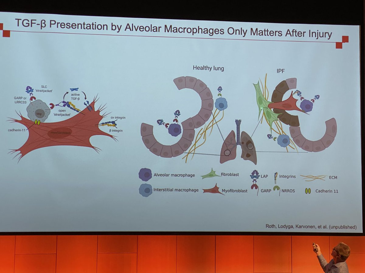 Laura Fabbri tweet media