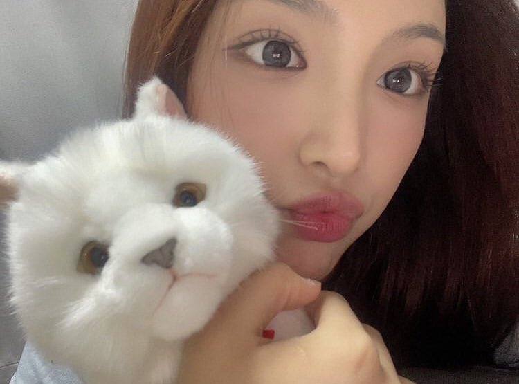 picsofchowon tweet picture