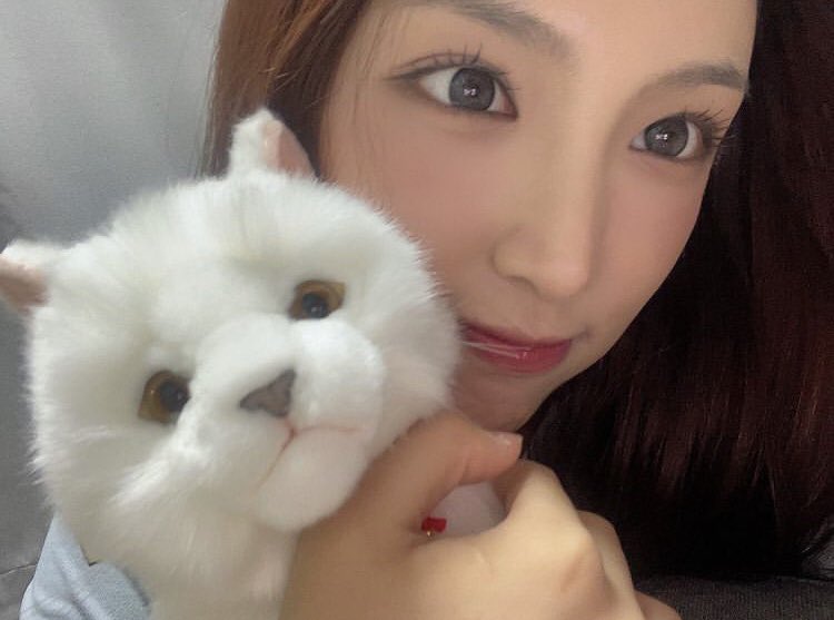 picsofchowon tweet picture