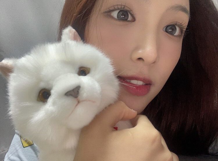 picsofchowon tweet picture