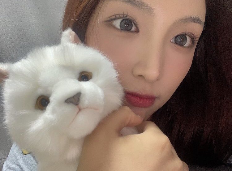 picsofchowon tweet picture