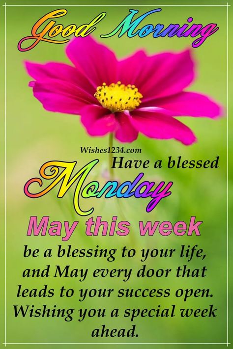 GullyGoddess617 (@gullygoddess617) on Twitter photo 