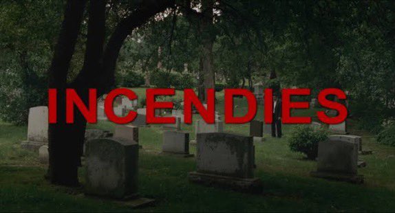 Film Daze tweet media