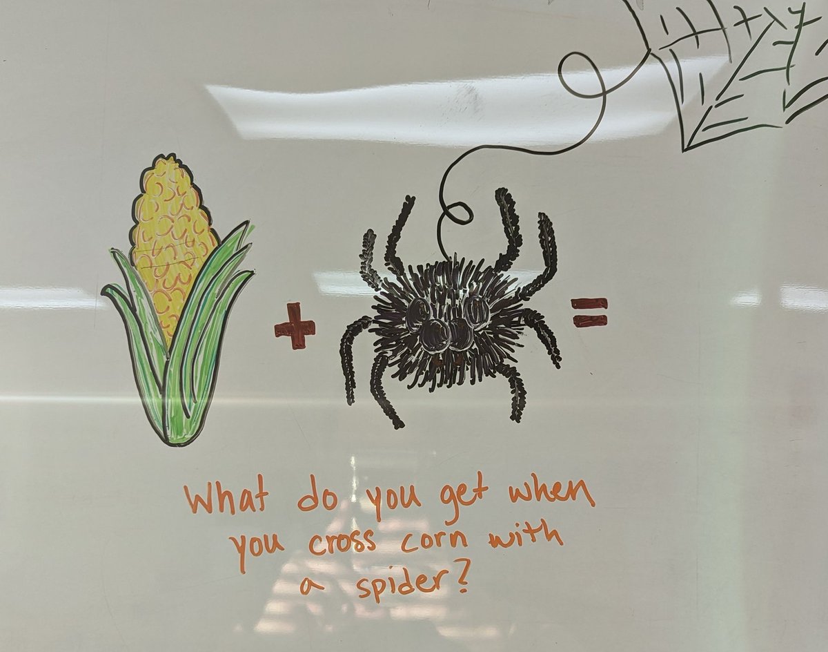 PageTurnerLit's tweet photo. This week's #joke

#ScbwiArtober #WritingCommunity #kidlit #kidlitart #jokes https://t.co/xewaDF2LK2