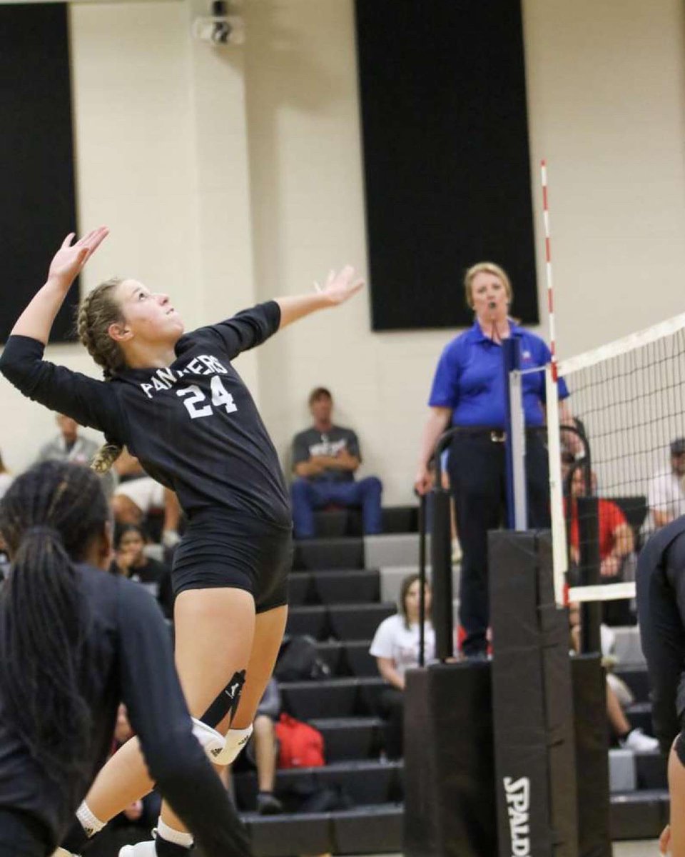 The Jungle tweet media