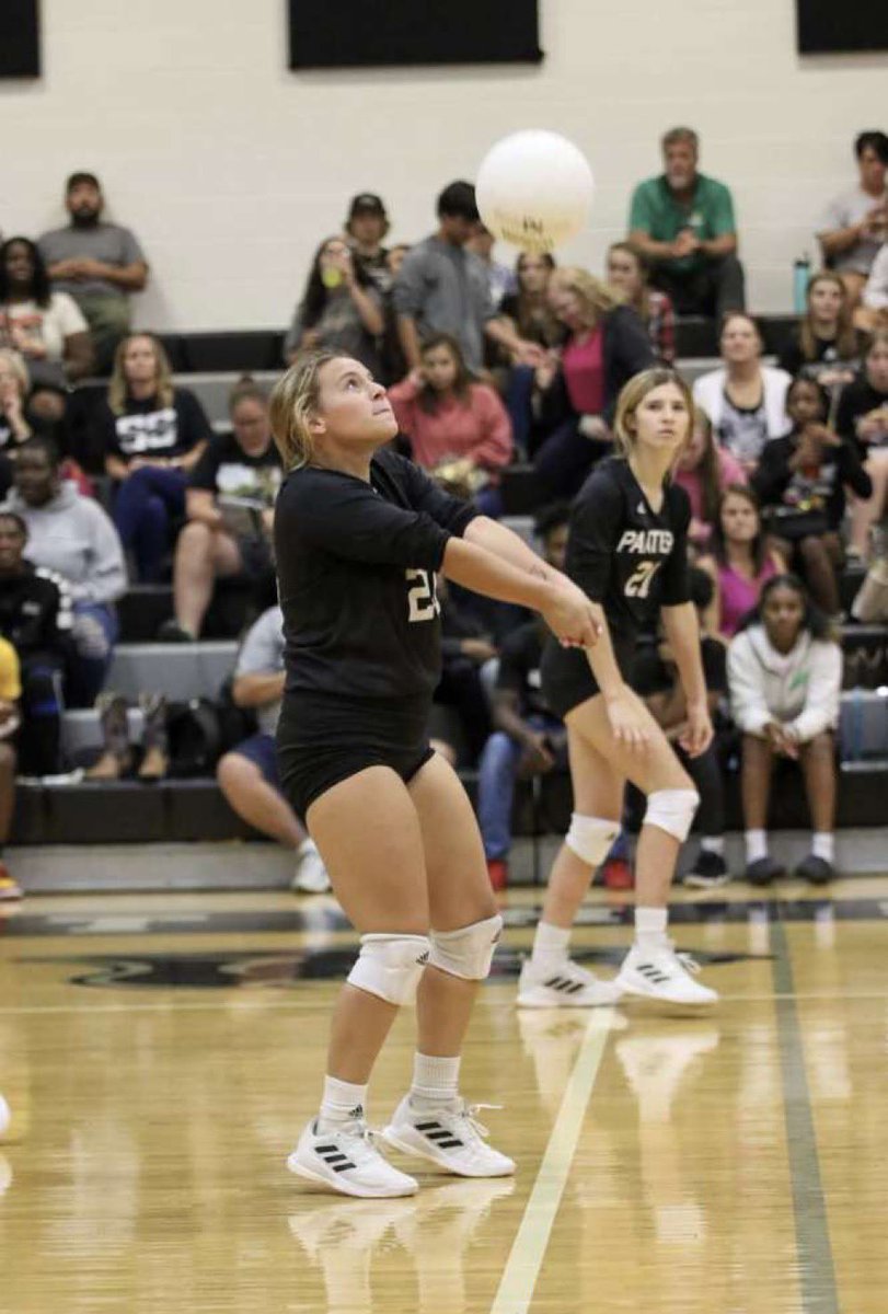 The Jungle tweet media