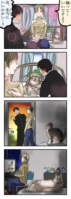 気まずい猫。(再) 