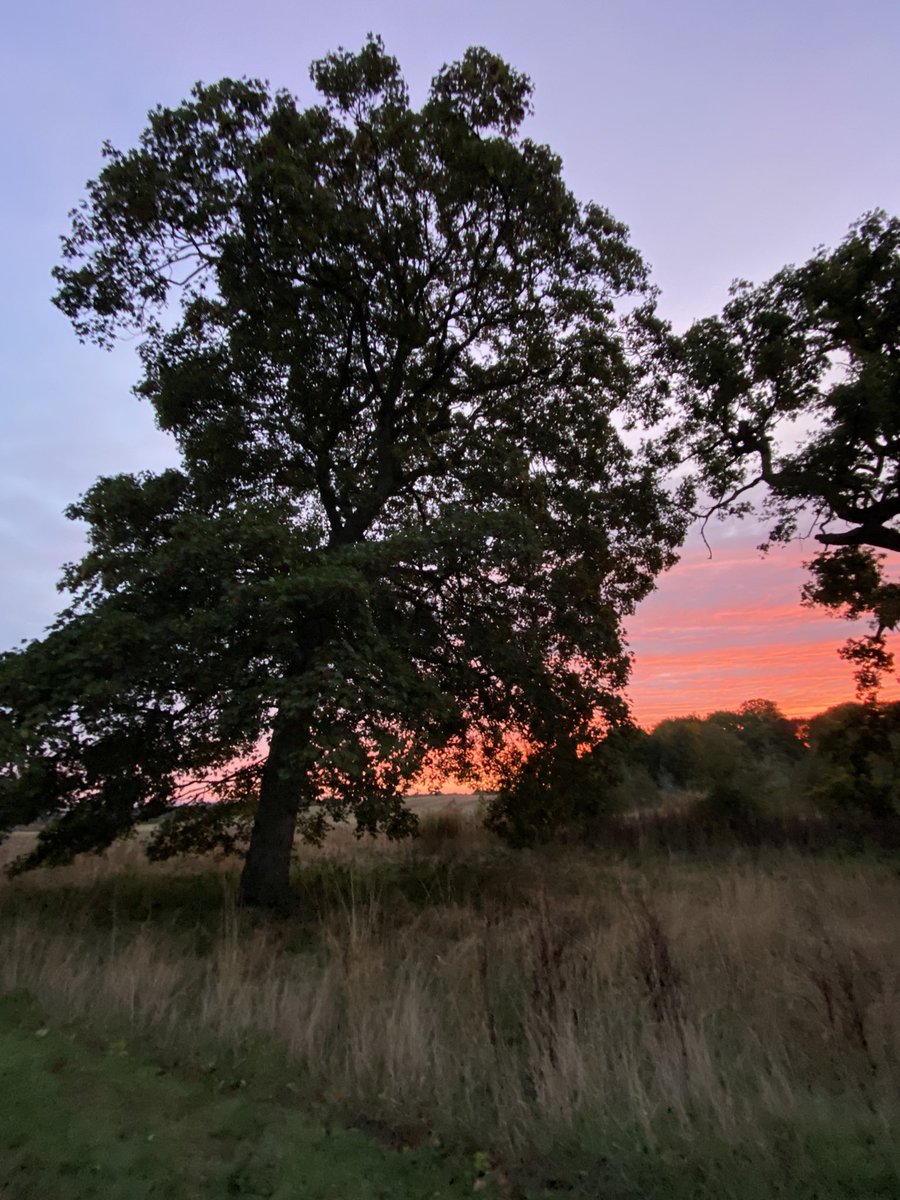 OswaldFreya's tweet photo. Stunning views on this morningโs run around @LilleshallNSC at the @basem_uk foundation skills course. Such a brilliant location for a fantastic course. Making it very easy to practice what we are preaching! ๐๐ฝโโ๏ธ #physicalactivityforhealth https://t.co/1vNrOabswB