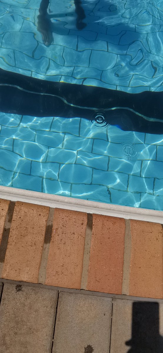 swimmanawe's tweet photo. Swimming season is on. Book a session 🏊🏿‍♀️ https://t.co/hov1r1ZZ53