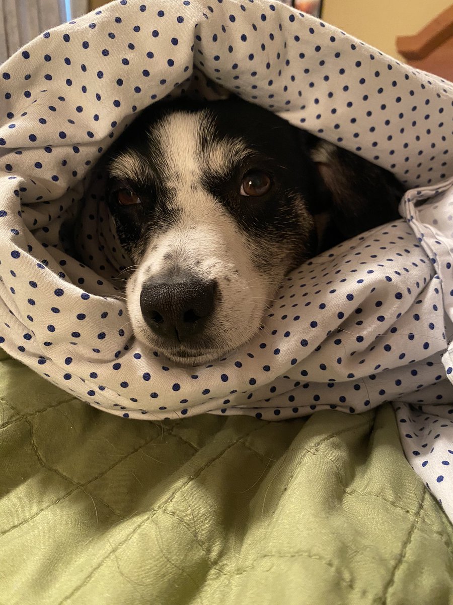 When your flight lands at 1 a.m. &amp; you have to get up on Monday morning… #CFWF #farmwriters #HappyToTravelAgain