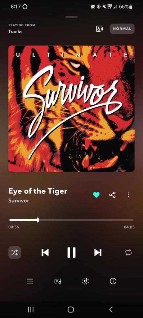 thatJoeybarista's tweet photo. @BeanMugginCC in hand and Eye of the 🐅 on the 📻 on the way in to work this morning. Let's get it.

#Mondayvibes https://t.co/TVX3iMBvfX