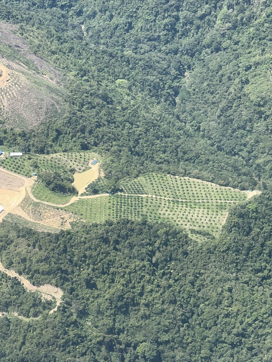 AlfonsoPintoFra's tweet photo. #Lebrija 🍍 la capital piñera de Colombia cumple 146 años de su elevación como municipio. También se destaca por sus extensos cultivos de cítricos 🍋 que conquistan los mercados más exigentes del mundo🌍.
Otra de las #87Razones para conocer y disfrutar a #Santander https://t.co/JbdqLSuJfi