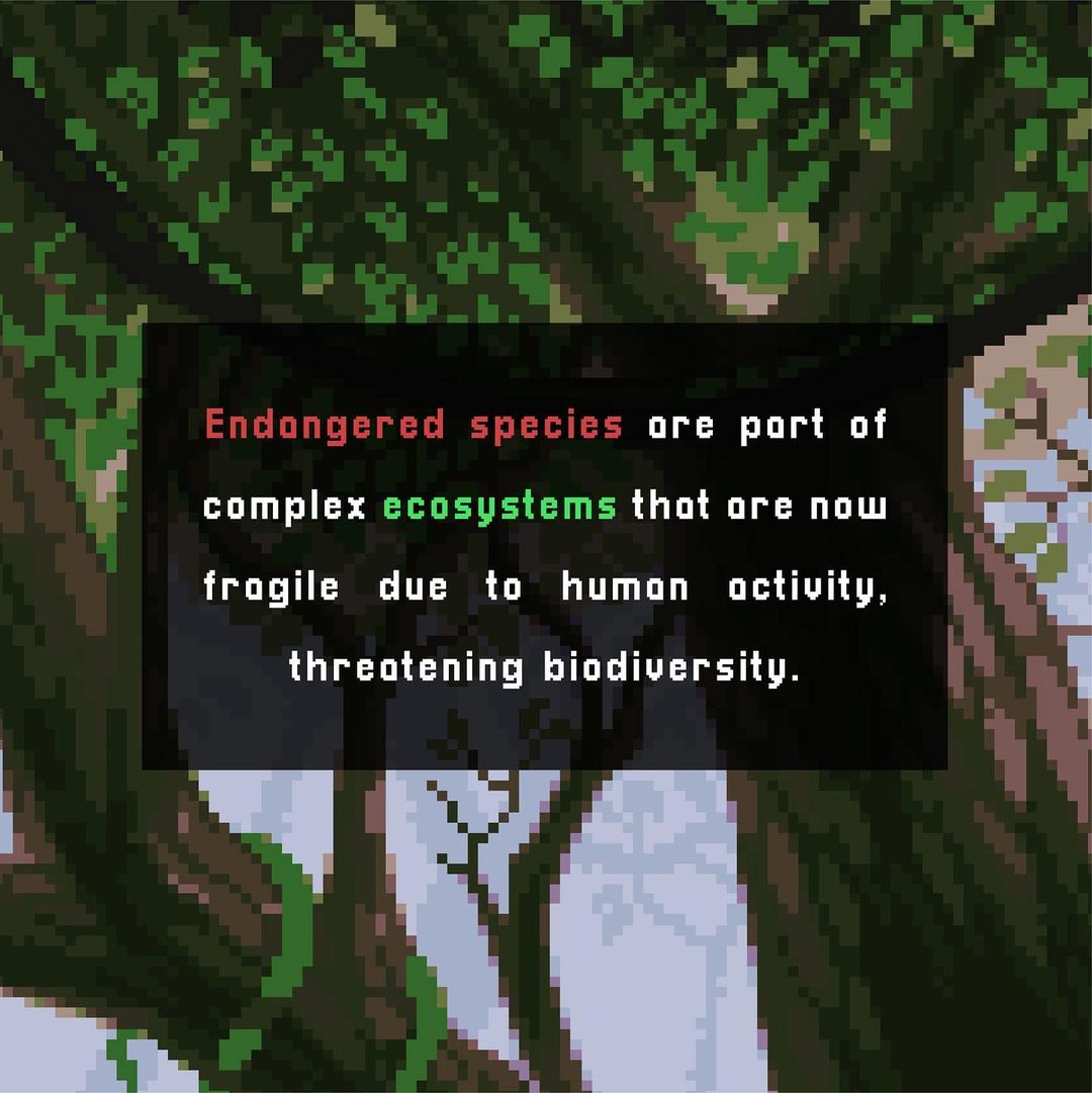 EntreesNFT's tweet image. Biodiversity or biological diversity refers to the variety of living organisms such as animals, plants, fungi, bacteria, among others, that are part of all terrestrial and aquatic ecosystems. It includes diversity within the same species, between species and between ecosystems.